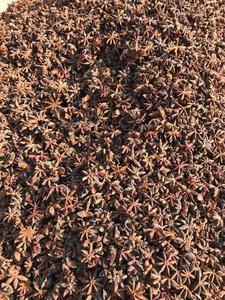 BLUE LOTUS Wholesale Vietnamese Origin Organic Whole Star <b>Anise</b> High Essential <b>Oil</b> Export Quality Reddish-brown to Dark Brown - Product Image 3