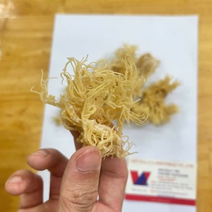 Meilleures ventes : Algues marines séchées jaune doré, algues Cottonii sans arêtes, extrait de carraghénane brute pour soupes, gelées et boissons - Product Image 1