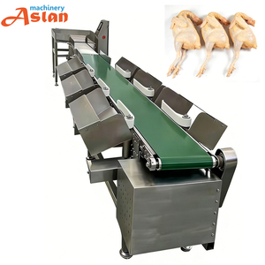 Báscula clasificadora de peso para cintas transportadoras industriales Aslan, máquina clasificadora y seleccionadora de peso para pollos y patos en granjas avícolas - Product Image 1