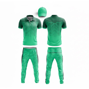 Conjunto de Camiseta y Pantalones de Cricket Sublimados de Alta Calidad |   Uniforme Completo de Cricket para Hombres, Mujeres y Jóvenes, Camiseta Polo y Pantalones - Product Image 1