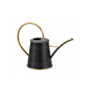 Elegant Hammered Iron Water <b>Cane</b> Hot Selling Metal Water <b>Cane</b> Home and <b>Garden</b> Decorative Easy Pour Watering Cans Spray - Product Image 5