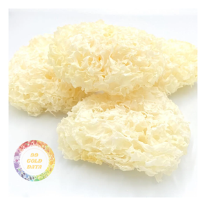 Hongo de Nieve Blanco Comestible Seco Natural y Saludable 99 Gold Data de Vietnam, 1 Año de Vida Útil, 0.5 kg - CARYLN - Product Image 1