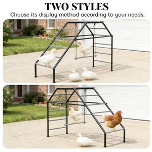 Pollaio Usato per Cortile e Fattoria con Design Durevole a Struttura Rampicante - Product Image 2