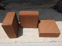 COCOPEAT Blocs de 5 kg, faible EC, hautement purifiés, issue de la coque de noix de coco, 30x30x10/12cm, expansion 75 litres