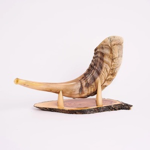 Shofar Acústico Artesanal de Cuerno de Carnero, Dispositivo Musical de Cuerno de Oveja con Acabado Natural Multitono para Importadores Globales - Product Image 6