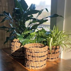 Juego de 3 cestas de mimbre de algas marinas y yute, cestas de almacenamiento hechas a mano, venta al por mayor, ecológicas, hechas en Vietnam - Product Image 4