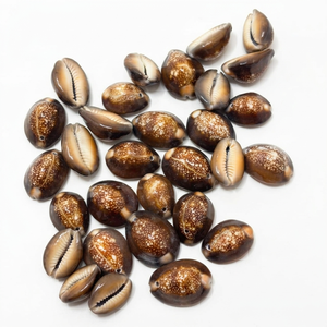 Coquillages de cauris bruns naturels bruts, imperméables, pour artisanat, bijoux et décoration, vente en gros, qualité OEM, export, approvisionnement en vrac mondial - Product Image 1