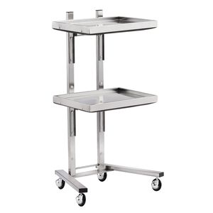 Carrito Rodante de Acero Inoxidable de 2 Niveles, Moderno y de Lujo, para Belleza/SPA, con Bandejas Dobles de Almacenamiento, para Uso en el Hogar/Baño - Product Image 2