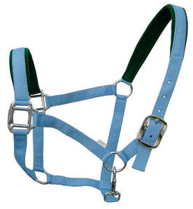 Harnais de cheval en nylon bleu avec rembourrage vert, équipement équestre réglable, harnais de cheval rembourré vert, équipement équestre réglable - Product Image 1