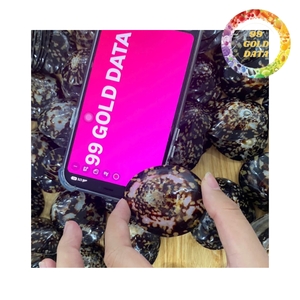 Conchas de limpias para decoración, manualidades y uso en acuarios, conchas marinas naturales secas, proveedor de Vietnam - Product Image 3