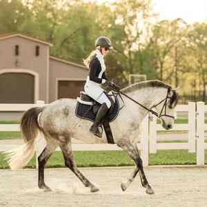 Almohadilla de montura inglesa y para todo uso al por mayor, mezcla de lana, algodón y poliéster, cómoda para competición de equitación - Product Image 6