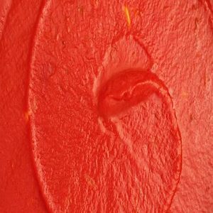 Puré de tomate fresco maduro de la India para mercados de exportación, distribuidores mayoristas de alimentos y aplicaciones culinarias profesionales - Product Image 6