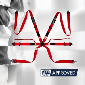 Arnés de Competición OEM ODM de Marca Privada TBRACING FIA 8853 2016, Suministro de Fábrica OEM, Ajuste Ergonómico a la Musleta y Lazos de Sujeción - Product Image 2