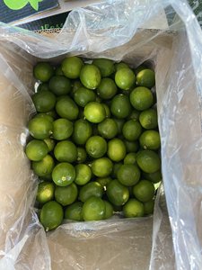 มะนาวไร้เมล็ดจากเวียดนาม – สดใหม่ ฉ่ำ ไม่มีเมล็ด คุณภาพสูงสำหรับการส่งออก - คุณโซฮี - Product Image 3