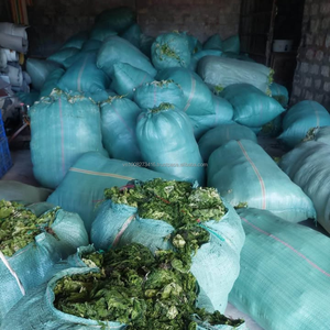 Ulva Lactuca (Lechuga de Mar) Seca a Granel - Origen Vietnamita Premium - Product Image 3