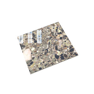 Les meilleurs carreaux de porcelaine polis de style classique de l'Inde 600x600mm pour les applications scolaires de haute qualité et prix économique - Product Image 2