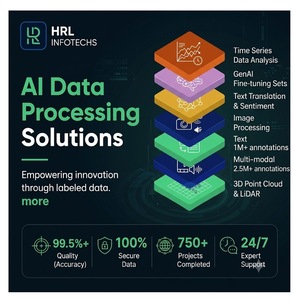 Services de marquage des données par IA d'HRL Infotechs, annotation d'images, de texte, d'audio et de vidéo, ressources linguistiques multilingues, ensemble de données international - Product Image 3