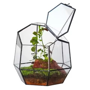 Elegante Terrario de Vidrio y Metal para Plantas, Soporte Geométrico para Plantas de Interior, Decoración para el Hogar - Product Image 3