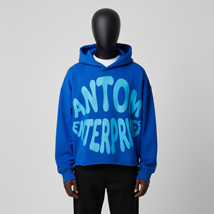 Sweat-shirt d'hiver pour homme 100% coton, broderie fleur de cerisier, sweat à capuche zippé, veste streetwear, OEM ODM disponible, haute qualité - Product Image 3