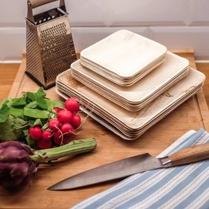 Eco Friendly 6 Inch Square Areca Palm Leaf <b>Plates</b> <b>Disposable</b> Biodegradable Dinnerware for Snacks & Sweets Pack of 25 Pieces Set - Product Image 1