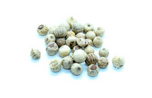 Poivre Blanc Indien Entier Séché Naturel de Nouvelle Récolte Qualité Supérieure, Durée de Conservation de 24 Mois, pour les Fabricants d'Assaisonnements Gourmands - Product Image 4