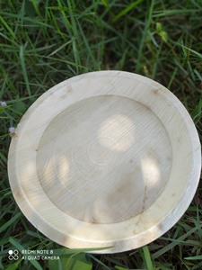 [VENTE CHAUDE] |   Assiettes jetables biodégradables en feuilles de palmier de 10 pouces, en vrac, pour le camping en plein air, les barbecues et les fêtes au Vietnam - Product Image 4