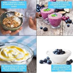 Yogourt fermenté de culture de démarrage de kéfir original japonais avec des avantages prouvés pour la santé - Product Image 5