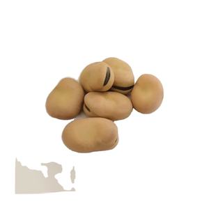 ถั่วปากอ้าแห้งแบบขายส่ง แยกเมล็ด ต้นกำเนิดจากบราซิล คุณภาพสูง บรรจุภัณฑ์แบบจำนวนมาก ต้องการโดยทั่วโลก ราคาแข่งขัน - Product Image 1