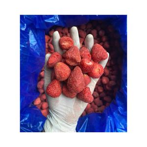 Fraises lyophilisées biologiques du Vietnam - Goût sucré naturel, emballage sous vide pour l'exportation, marque 99GD - Product Image 1
