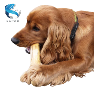 Bâton à mâcher pour chien en bois naturel, bois de café, pour animaux de compagnie, vente en gros, Vietnam - Product Image 5