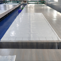 Contenedor Flexitank de 20 pies y 20000 L BW BWF00001 Desechable, Grado Alimenticio, Certificado ISO, para Diésel, Productos Químicos No Peligrosos, Ácido Clorhídrico