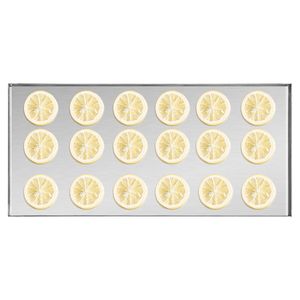 Essiccatore a Congelamento con Timer Regolabile, Capacità 4-6 kg/lotto, 4 Vassoi per Essiccazione Frutta e Verdura - Product Image 3