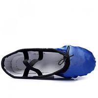 Zapatillas de Ballet Rosas Directas de Fábrica, Diseño Personalizado en Lona, Cuero Suave, Nueva Suela Dividida, Zapatos de Baile para Niñas, Precio