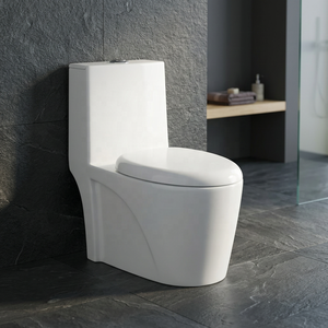 WC monobloc de style classique en céramique indienne, à double chasse, à prix abordable, pour salles de bain modernes - Product Image 2