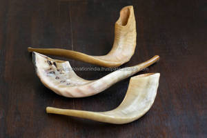 Nuevo hermoso kosher Kudu Shofar cuerno tradicional israelí artesanía más vendedor Shofar - Product Image 4