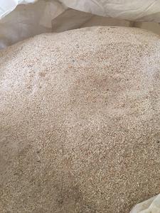 Polvo de concha de ostra triturada ecológica para mejorar el suelo - Product Image 5