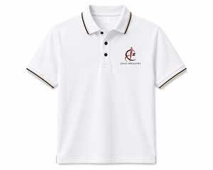 Polo en coton blanc pour homme, manches courtes, logo brodé, décontracté, respirant, design avant, polo blanc de qualité supérieure - Product Image 1