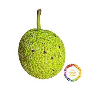 BEST SELLING VIETNAM FROZEN BREADFRUIT WHOLESALE 100% NATURAL GOOD QUALITY WITH LOW PRICES - Product Image 3