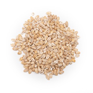 Cebada de Granja Seleccionada para Alimentación Animal, Suministro al por Mayor, Granos Limpios y Secos para Nutrición Animal, Embalaje Seguro para Exportación - Product Image 2