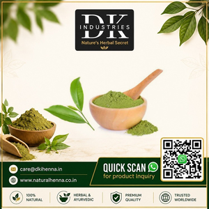 Poudre de Kalmegh Pure en Gros, Poudre d'Andrographis Paniculata, Matière Première, Poudre d'Herbes Fines pour Produits de Bien-être - Product Image 6