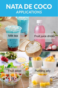 Premium Fruity Nata De Coco Coconut Jelly <b>Cubes</b> for Bubble Tea Dessert Yogurt OEM Bulk Supply Ben Tre Vietnam HACCP Certified - Product Image 4