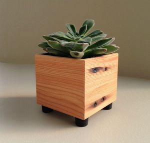 Juego de Soportes para Plantas de Madera Mini, Modernos, Minimalistas, Hechos a Mano, Calidad Premium, Precio de Fábrica al por Mayor - Product Image 2