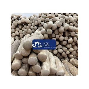 [DISPONIBLE] Bâton à mâcher en bois de café pour chiens, bâton à mâcher longue durée adapté aux jeux et activités interactives, Vietnam - Product Image 1