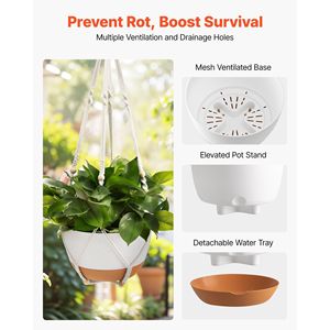 2 confezioni da 10 pollici fioriere sospese per interni ed esterni cesti appesi per vasi di fiori - Product Image 3