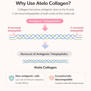 เซรั่มบำรุงผิวหน้า Atelcollagen ไฮยาลูรอนิค แอซิด คอลลาเจน สำหรับผิวหน้าและรอบดวงตา ช่วยเติมความชุ่มชื้น ผิวกระจ่างใส บำรุงล้ำลึก บรรจุกล่อง - Product Image 2