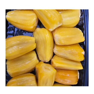 Trozos de Jaca IQF Congelados, Fruta Tropical para Venta al por Mayor y Procesamiento de Alimentos - Product Image 5