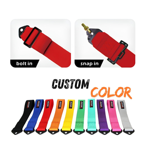Custom Color TBRACING SF 501 5 Point Racing Harness SFI 16 1 Certified <b>Driver</b> Restraint Taiwan Factory OEM ODM Wholesale Supply - Product Image 4