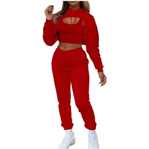Ensemble de survêtement pour femme, 2 pièces, streetwear personnalisé, hiver, polaire épaisse, capuche, broderie sur le devant - Product Image 1