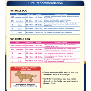 Pañal Absorbente para Perros Unicharm, Diseño Moderno - MannerWear - (F) Talla Grande 32 Piezas - Product Image 2