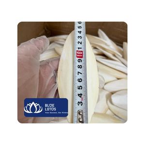 Hueso de Sepia Natural para Aves, Loros, Juguete Masticable de Calcio, Suplemento Mineral para el Cuidado del Pico, Golosina para Jaula, Loto Azul 3-9cm - Product Image 1